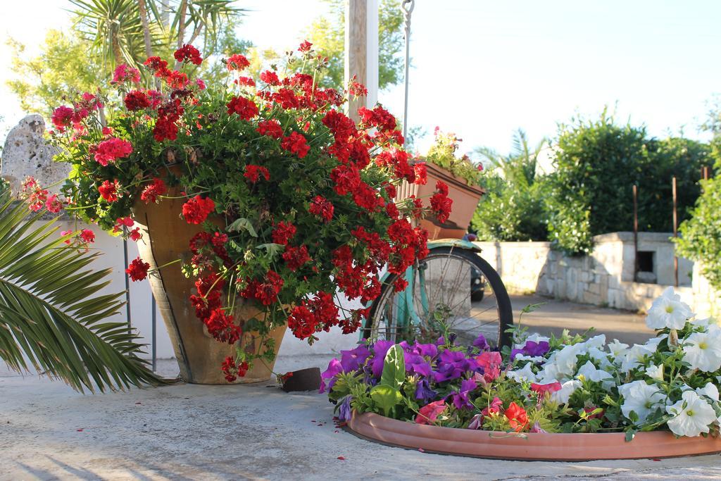 Bed and Breakfast La Casa Del Nonno Alberobello Zewnętrze zdjęcie