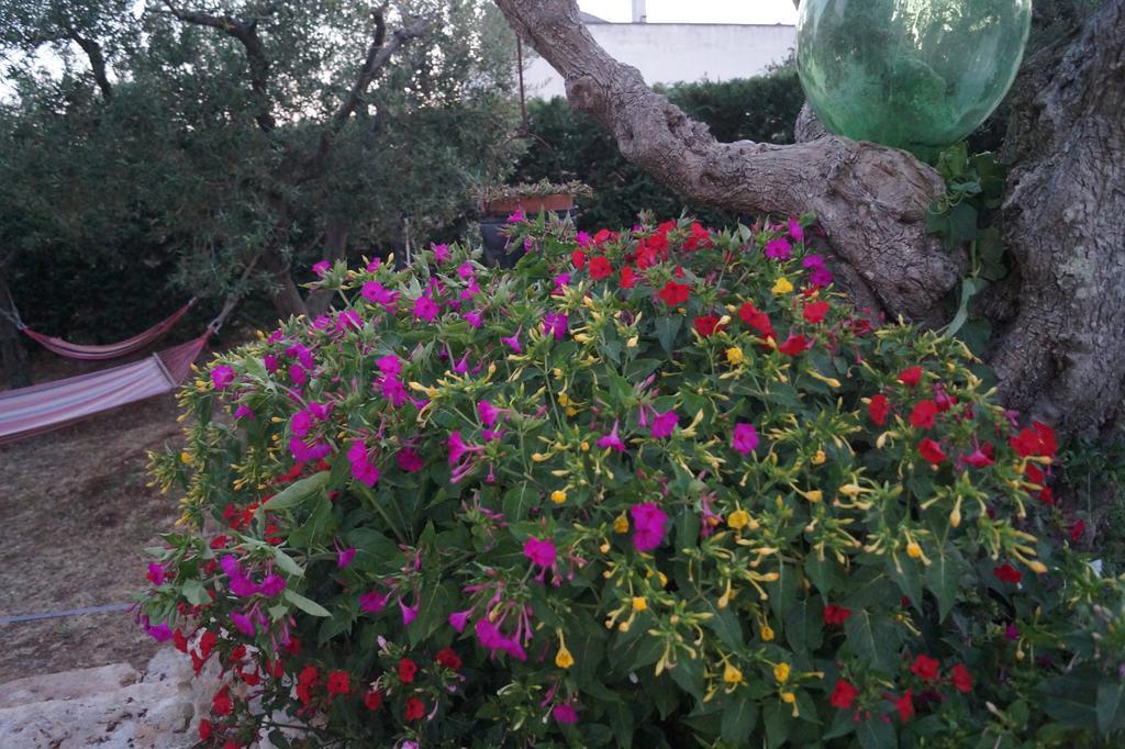 Bed and Breakfast La Casa Del Nonno Alberobello Zewnętrze zdjęcie