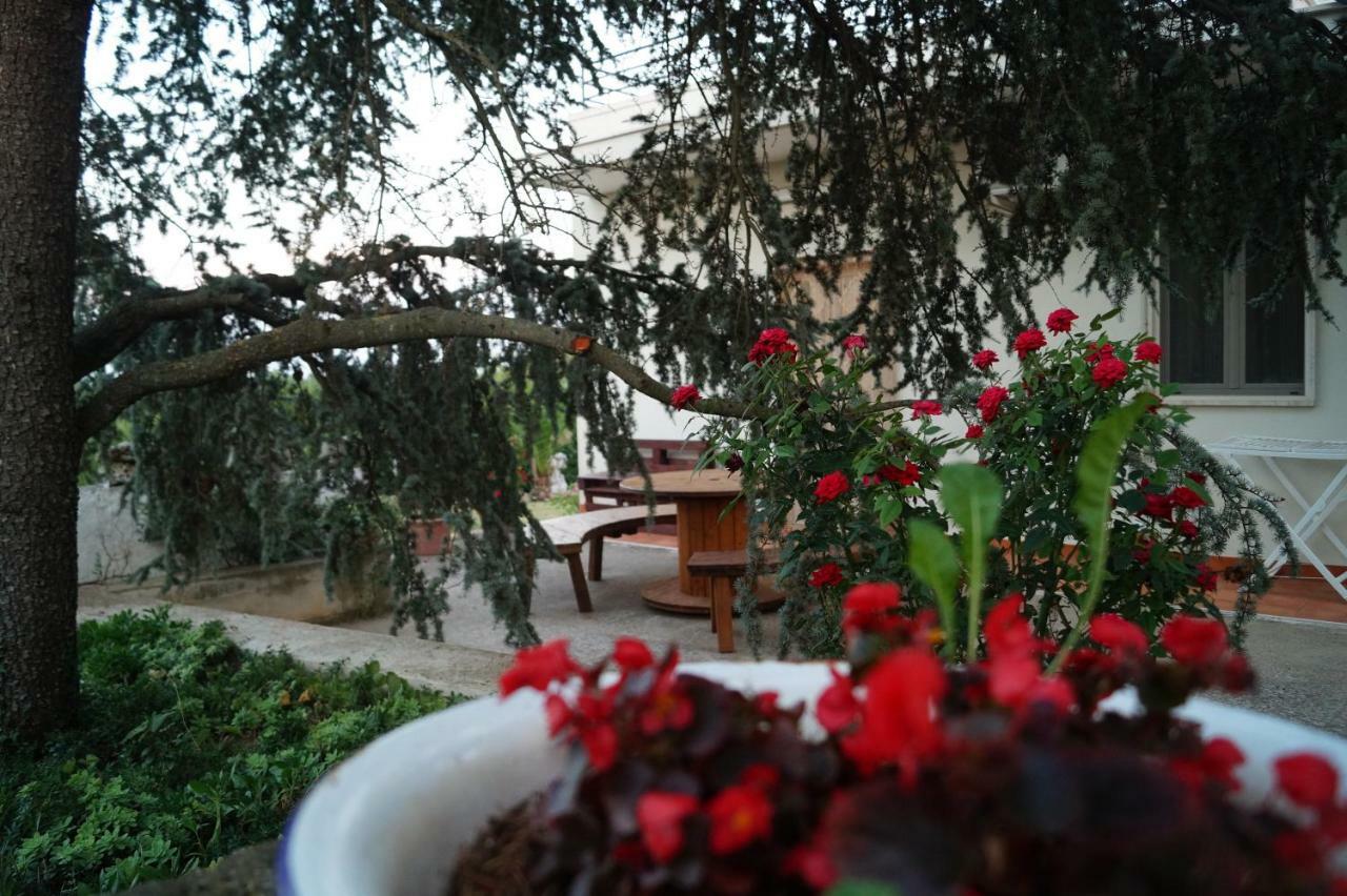 Bed and Breakfast La Casa Del Nonno Alberobello Zewnętrze zdjęcie